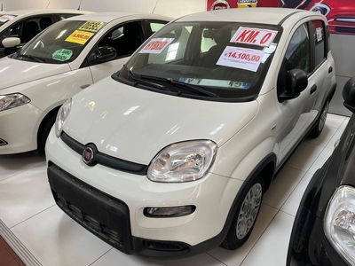 Fiat Panda 1.0 FireFly S&amp;S Hybrid City Cross nuova a Altopascio