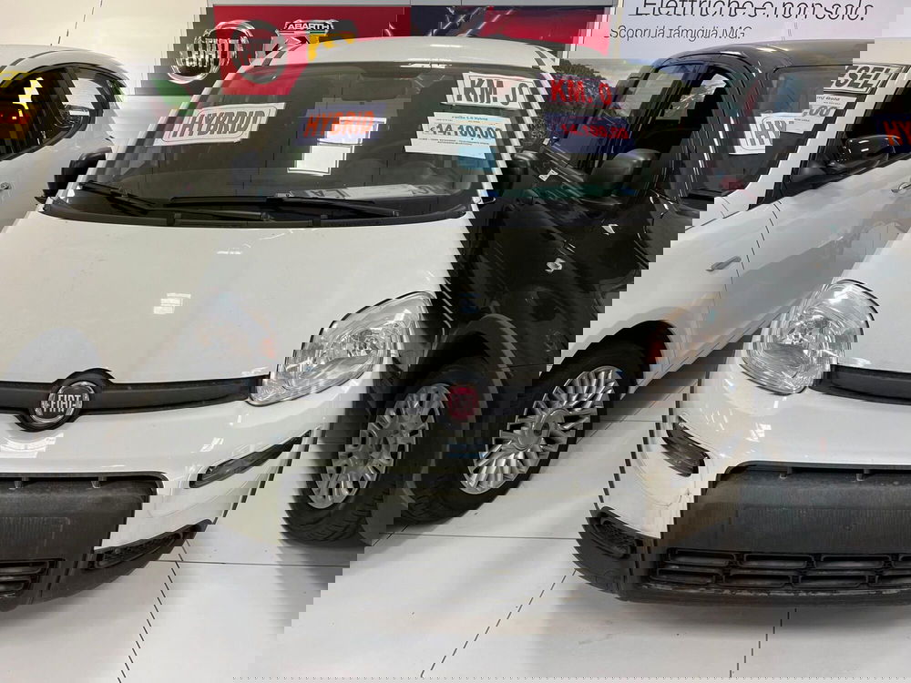 Fiat Panda nuova a Lucca (2)