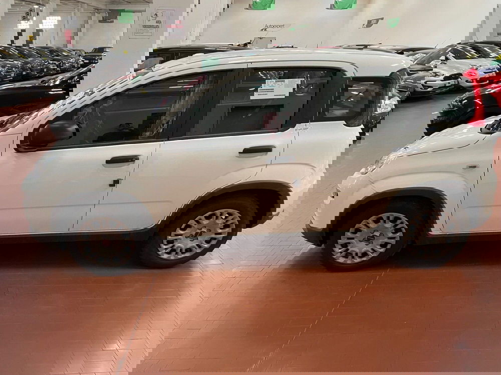 Fiat Panda nuova a Lucca (4)