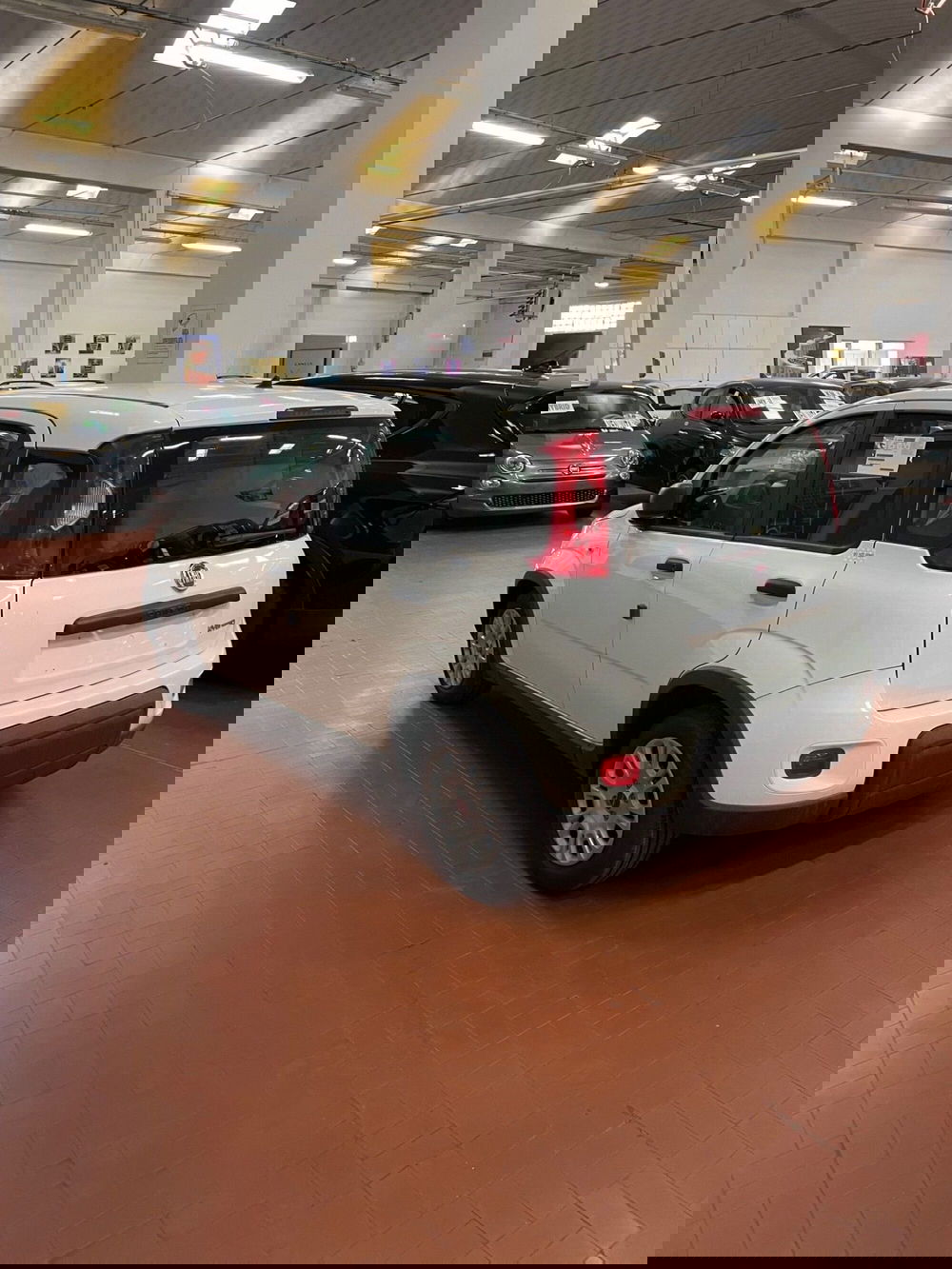 Fiat Panda nuova a Lucca (5)