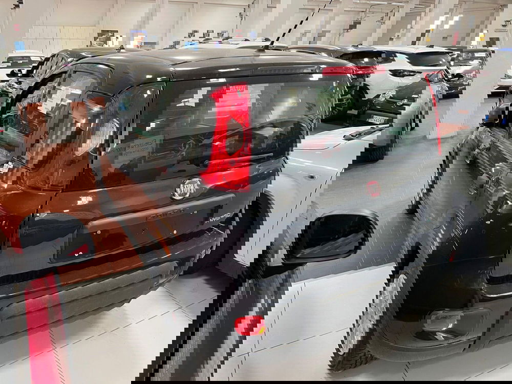 Fiat Panda nuova a Lucca (7)