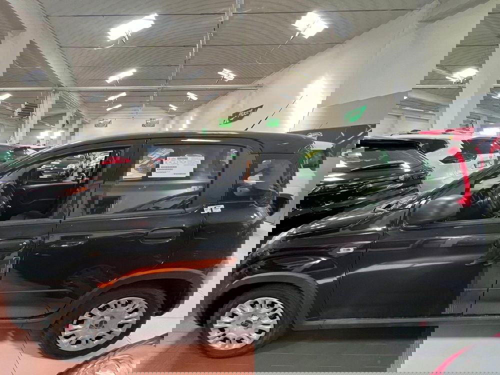 Fiat Panda nuova a Lucca (8)