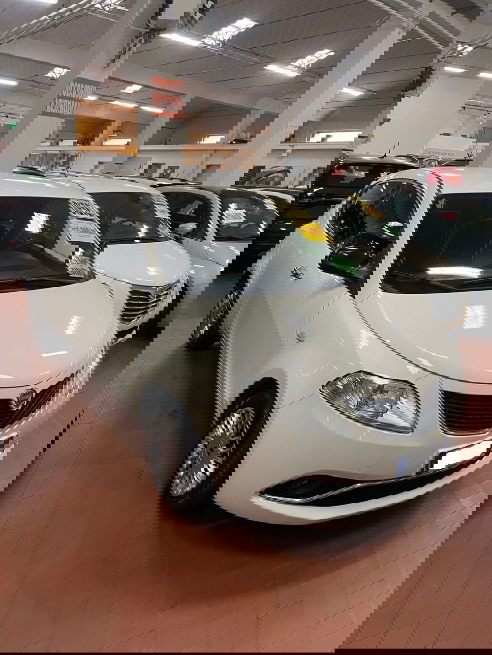 Lancia Ypsilon usata a Lucca (3)