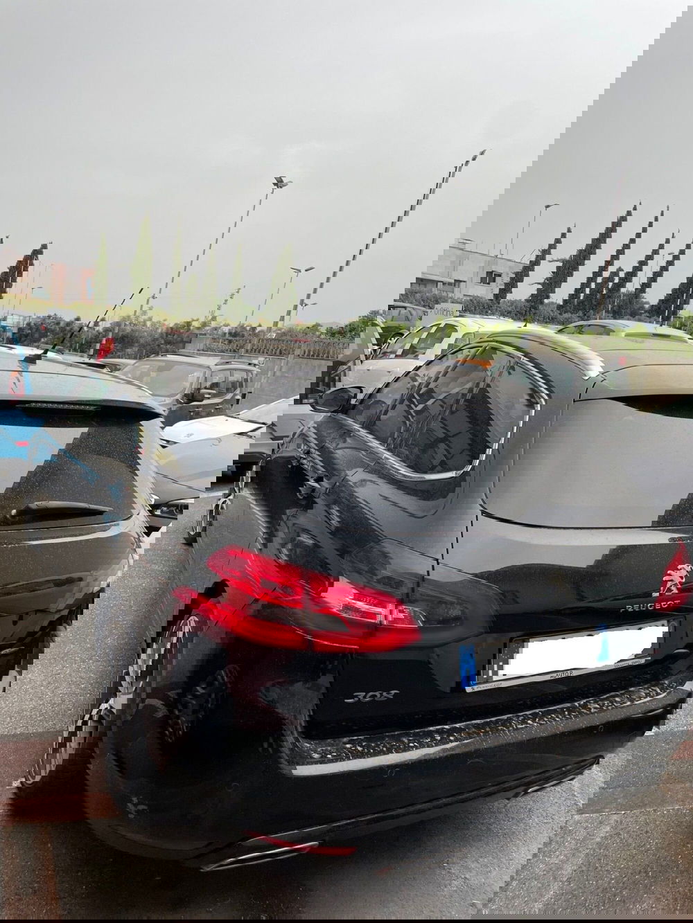 Peugeot 308 SW usata a Lucca (4)