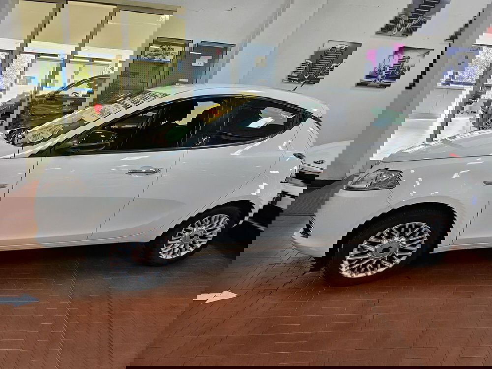 Lancia Ypsilon usata a Lucca (2)