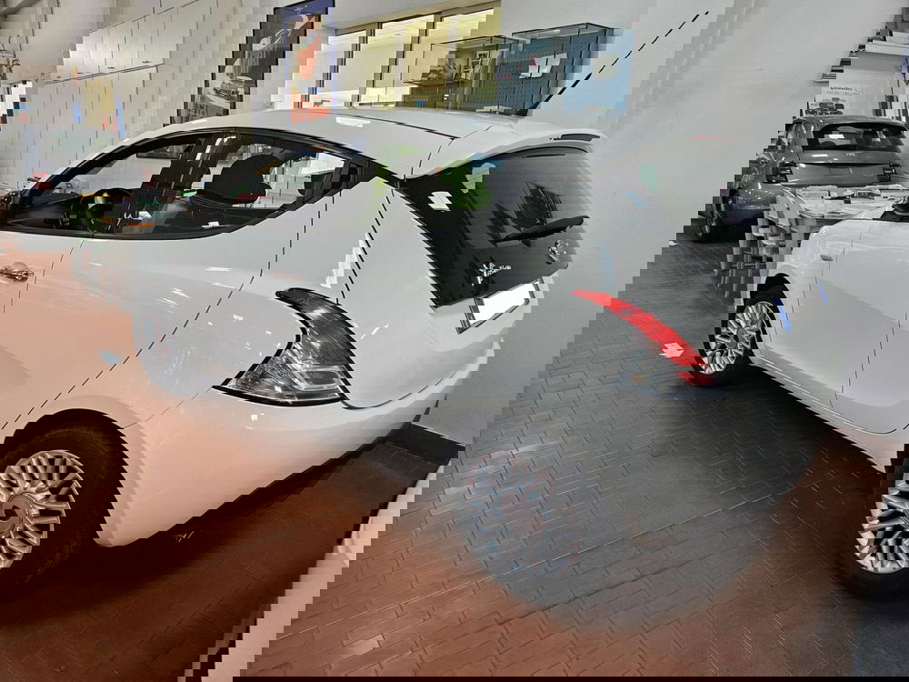 Lancia Ypsilon usata a Lucca (3)