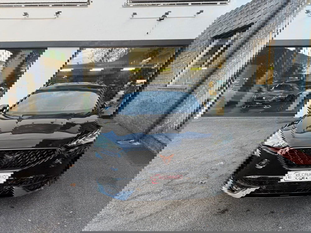 Cupra Formentor usata a Monza e Brianza (6)