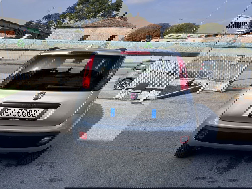 Fiat Panda usata a Ancona (6)