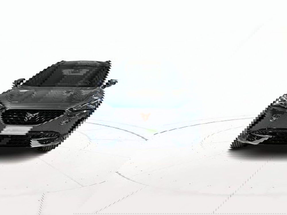 Cupra Formentor usata a Vicenza (2)