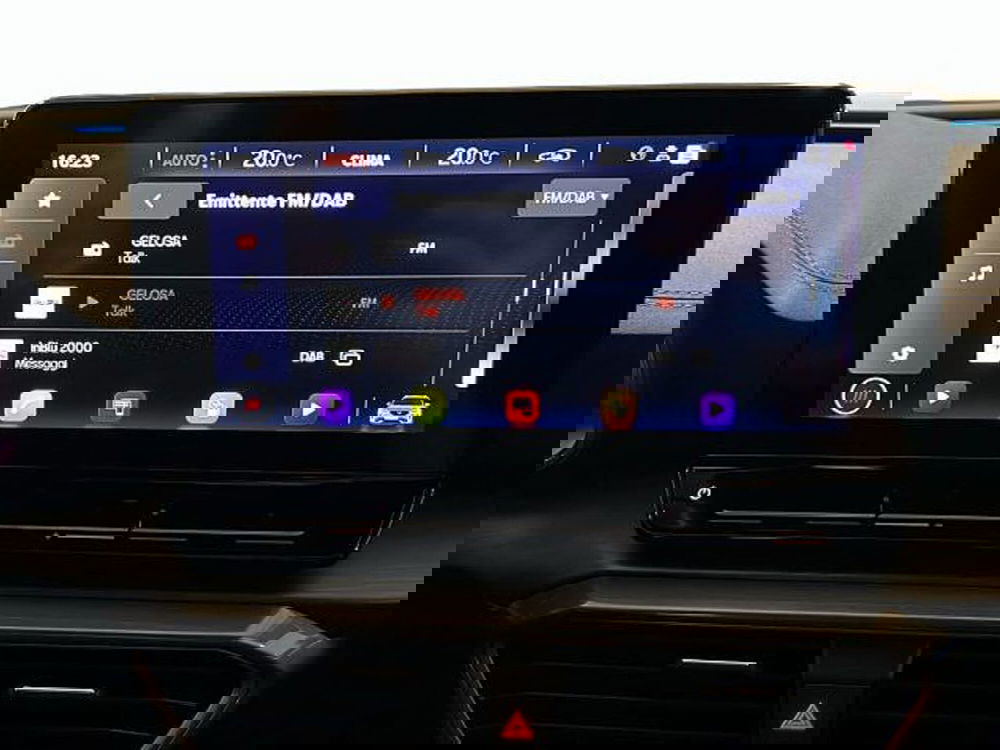 Cupra Formentor usata a Vicenza (9)