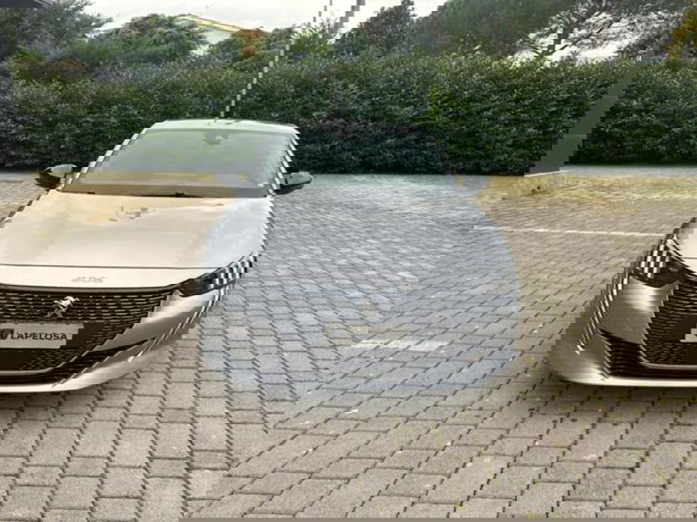 Peugeot 208 usata a Salerno