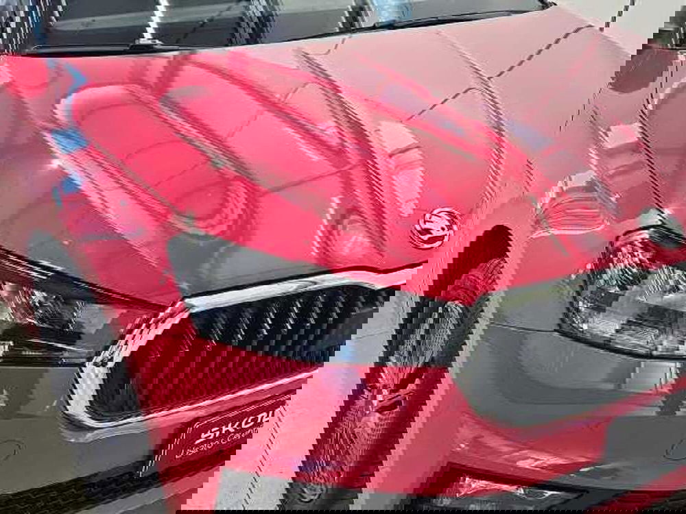 Skoda Fabia usata a Lecco (7)