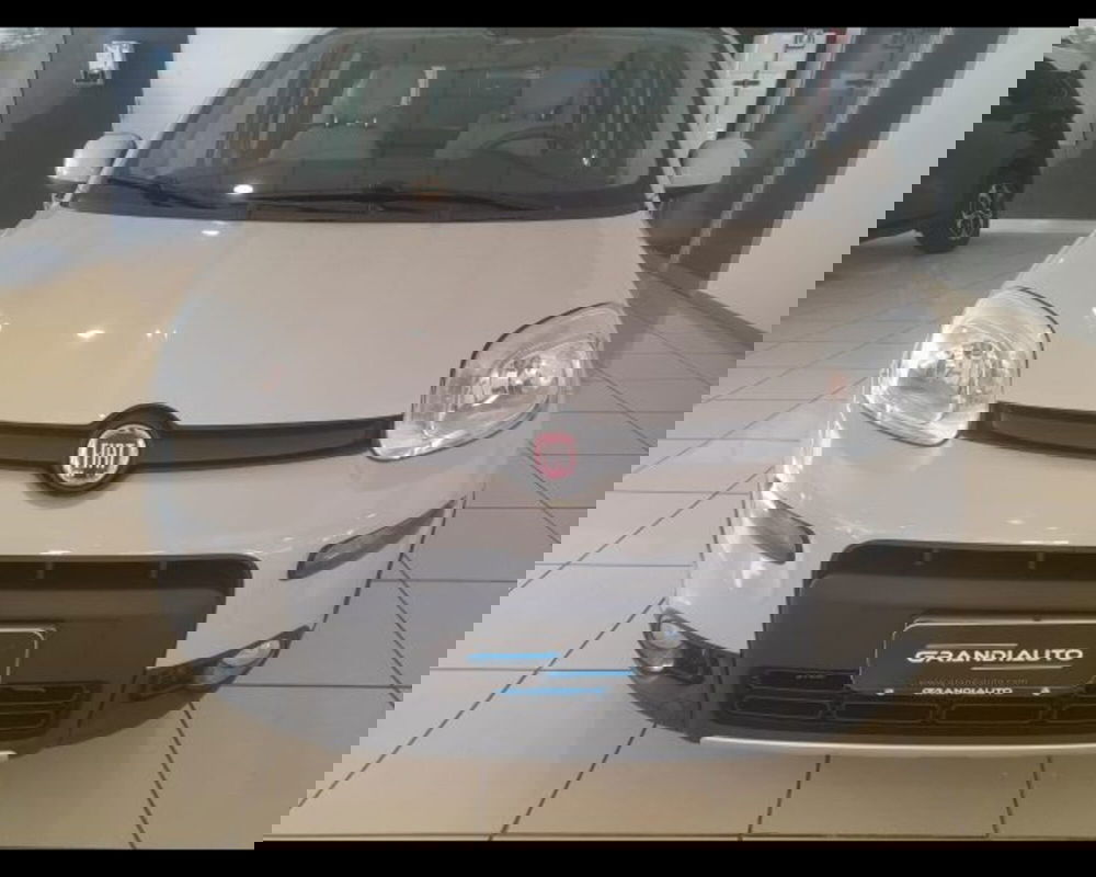 Fiat Panda usata a Alessandria