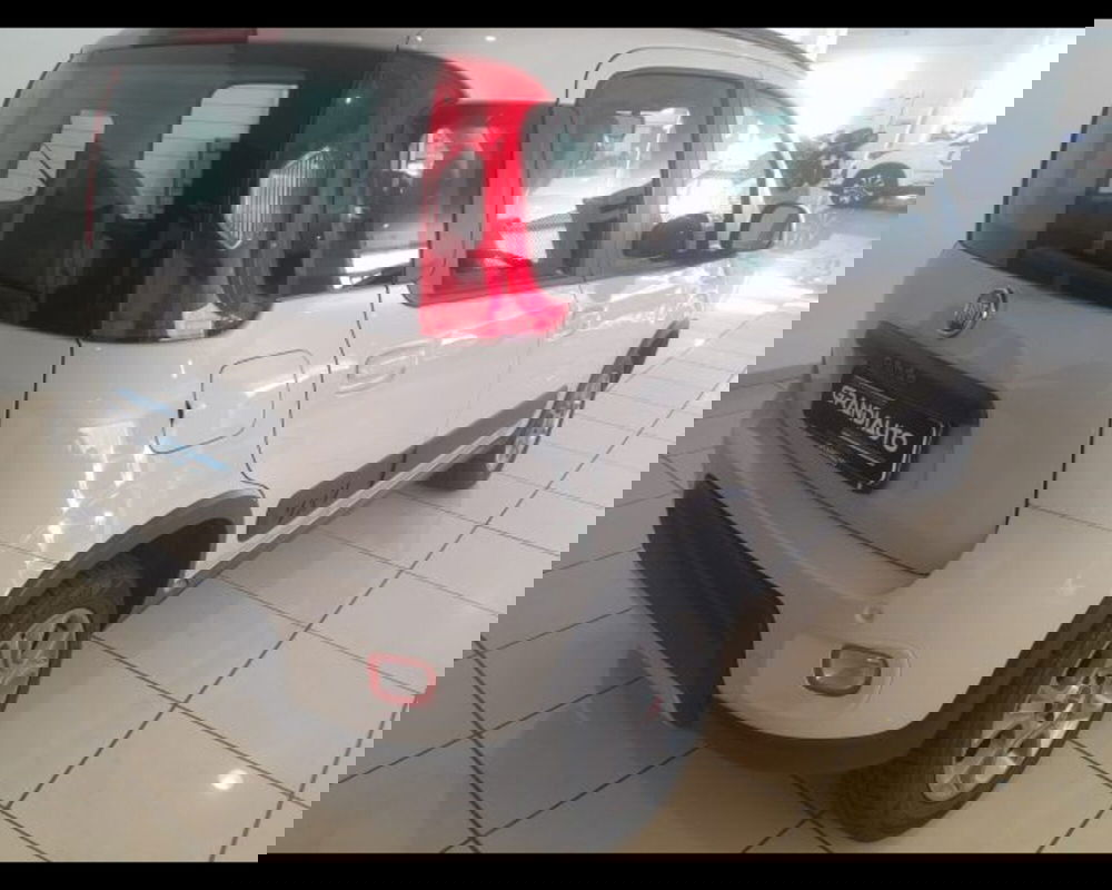 Fiat Panda usata a Alessandria (5)