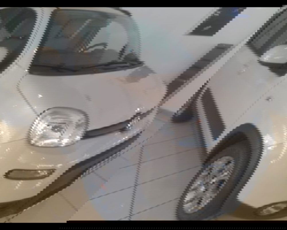 Fiat Panda usata a Alessandria (6)