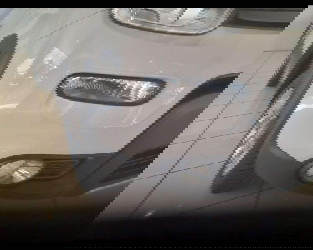 Fiat Panda usata a Alessandria (7)