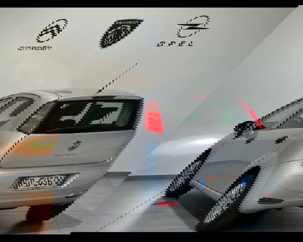 Fiat Punto usata a Alessandria (4)