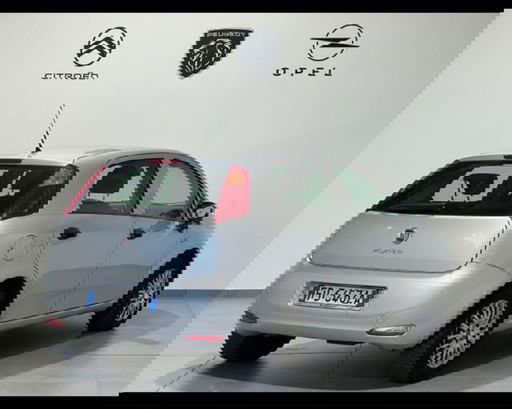 Fiat Punto usata a Alessandria (6)