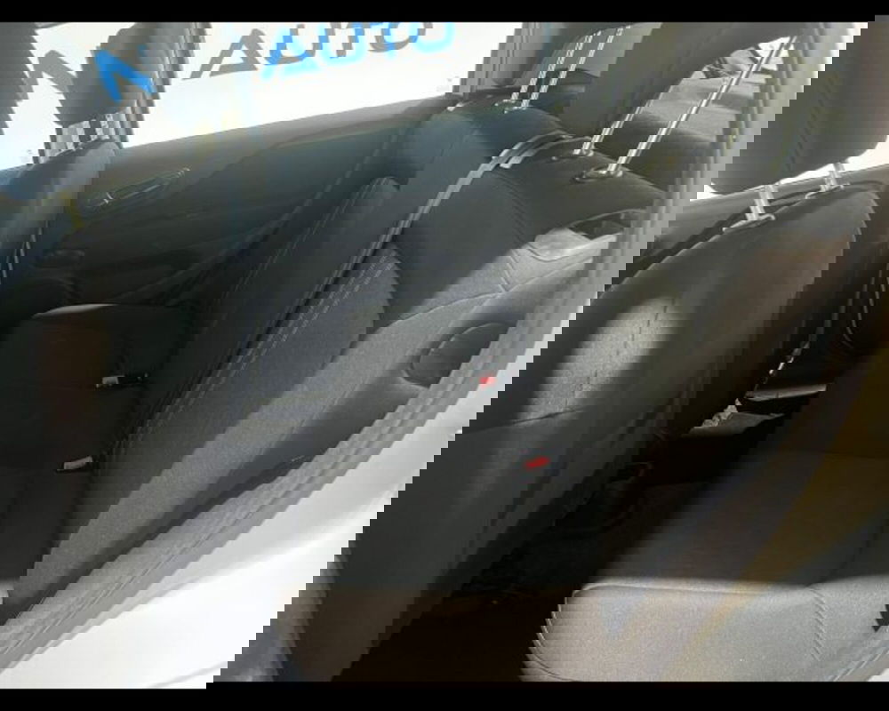 Fiat Punto usata a Alessandria (8)