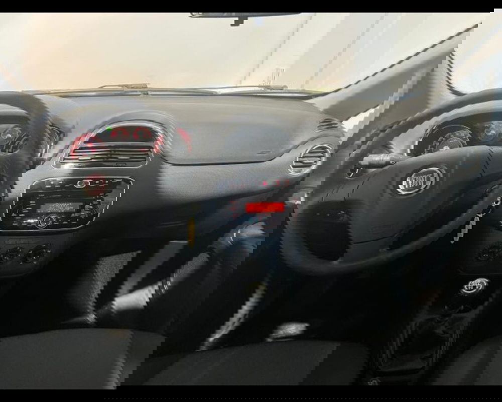 Fiat Punto usata a Alessandria (9)