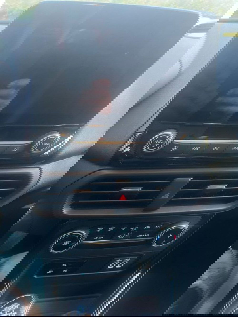 Ford EcoSport usata a Lodi (11)