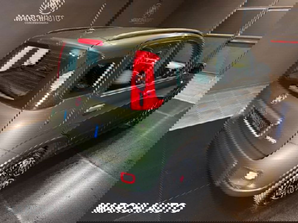 Fiat Panda usata a Perugia (5)