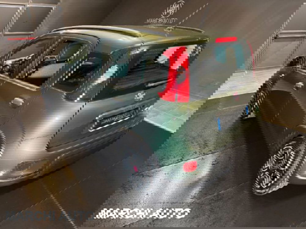 Fiat Panda usata a Perugia (7)