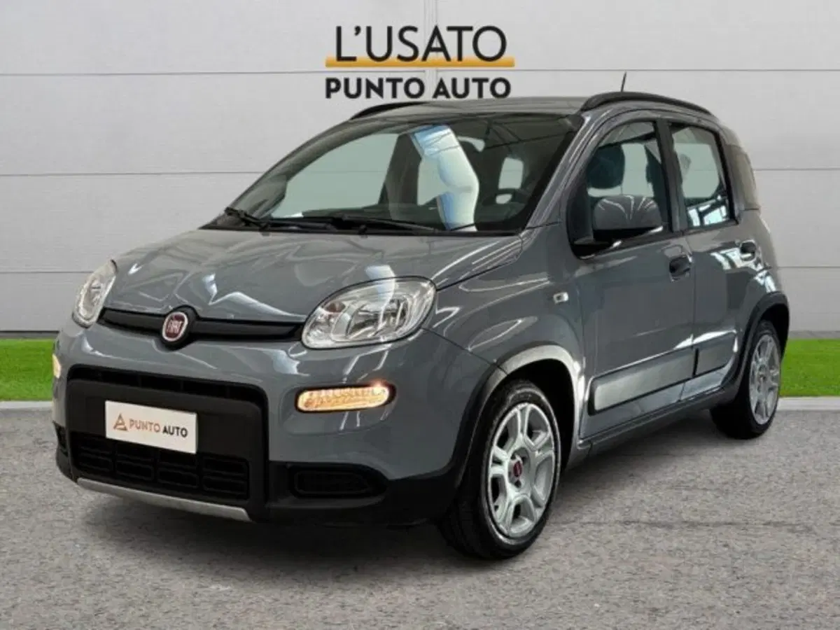 Fiat Panda usata a Ancona