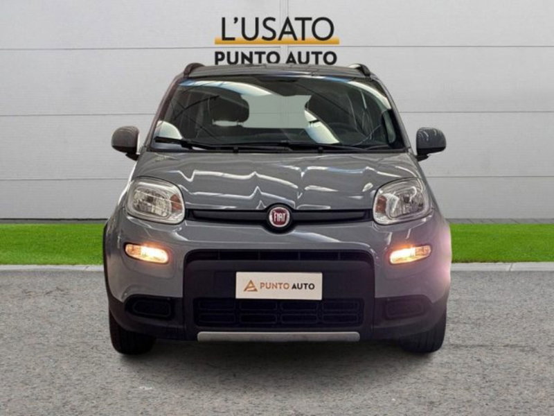 Fiat Panda usata a Ancona (2)