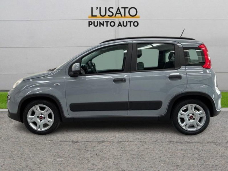 Fiat Panda usata a Ancona (4)