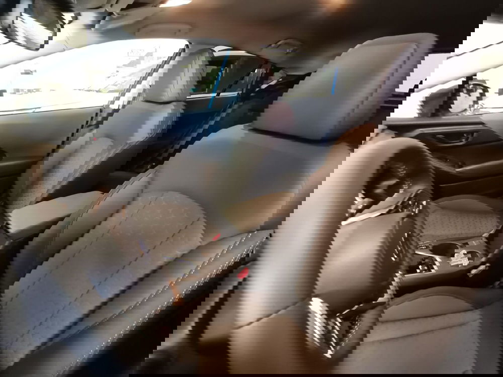 Subaru Crosstrek usata a Forlì-Cesena (11)