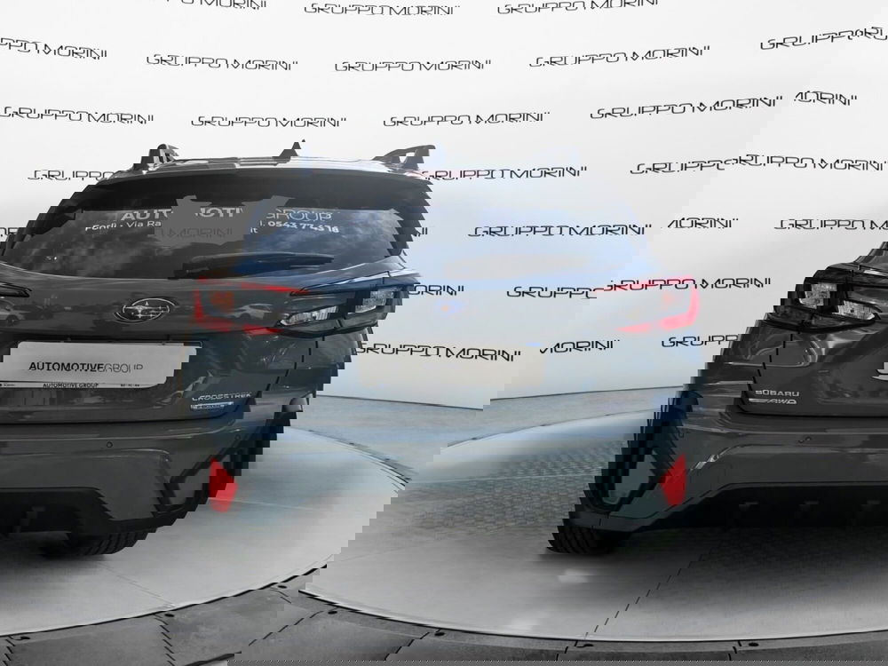 Subaru Crosstrek usata a Forlì-Cesena (8)