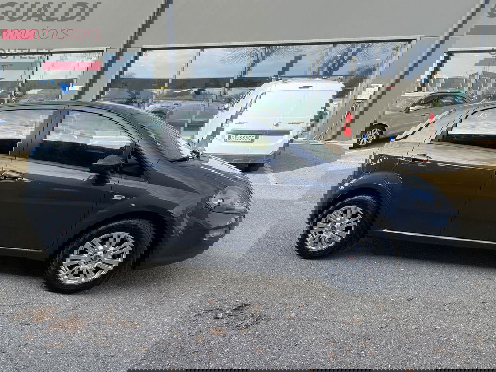 Fiat Punto usata a Modena (17)