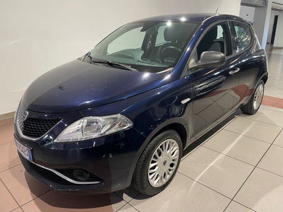 Lancia Ypsilon 1.2 69 CV 5 porte Gold del 2016 usata a Genova