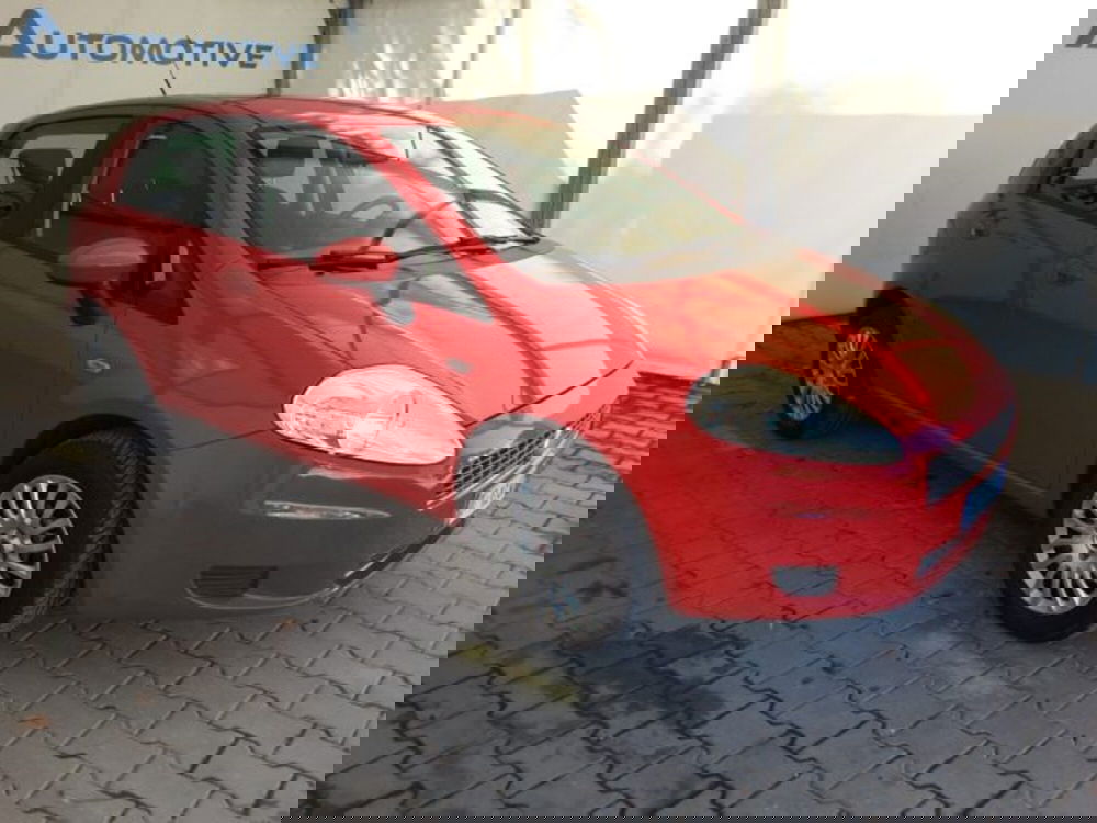 Fiat Punto Evo usata a Firenze (2)