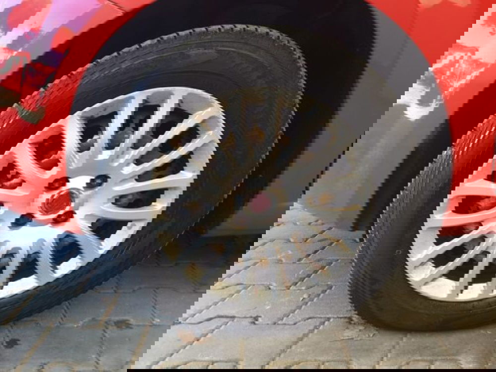 Fiat Punto Evo usata a Firenze (4)