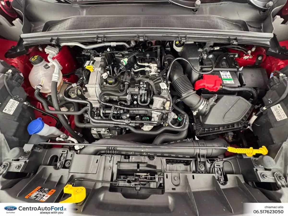 Ford Puma usata a Roma (12)