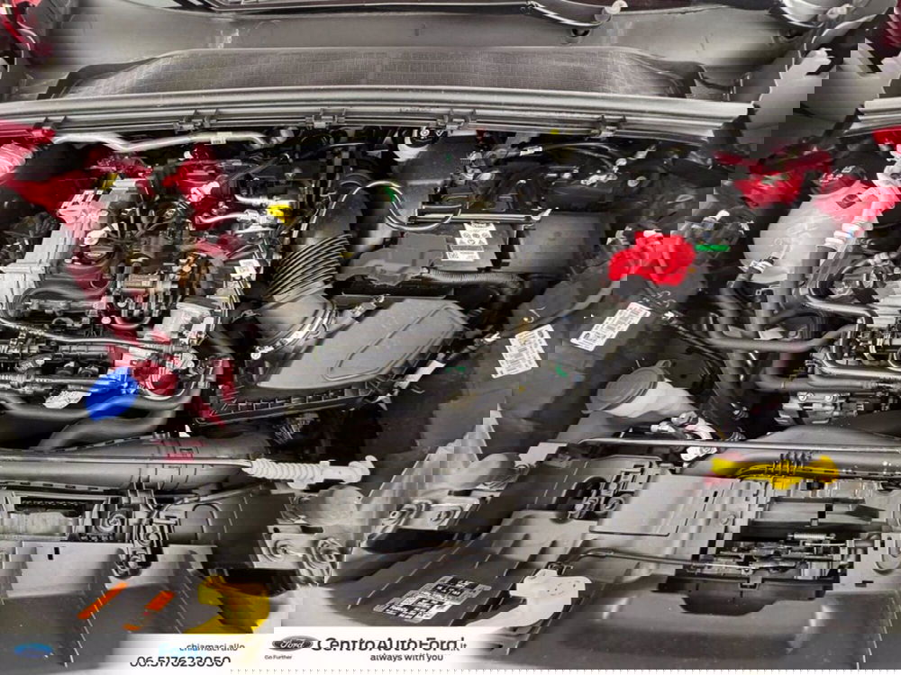 Ford Puma usata a Roma (12)