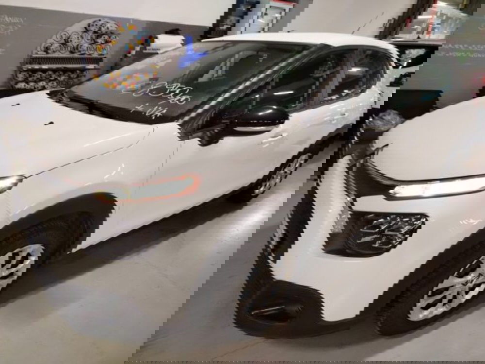 Renault Clio usata a Forlì-Cesena (12)