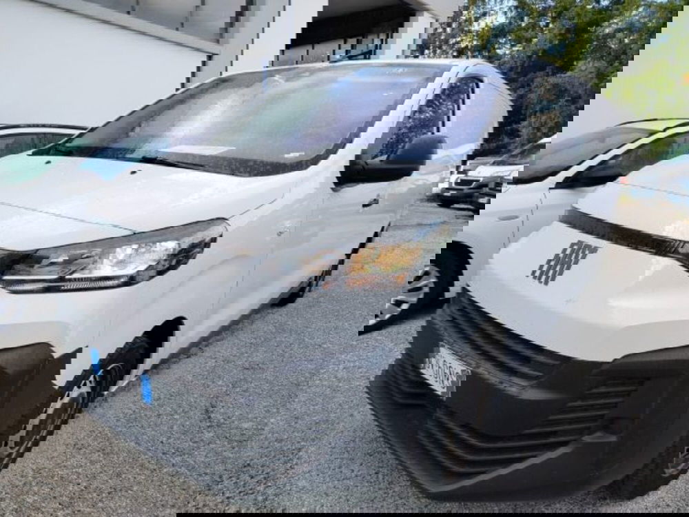 Fiat Scudo Furgone usata a Forlì-Cesena