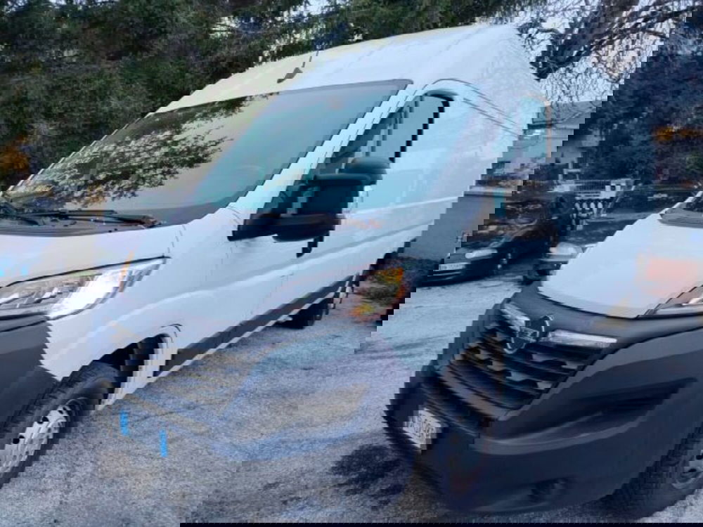 Opel Movano Furgone usata a Forlì-Cesena