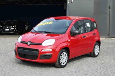 Fiat Panda 1.0 firefly hybrid s&amp;s 70cv 5p.ti nuova a Pianezza