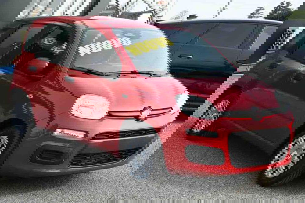 Fiat Panda nuova a Torino (2)