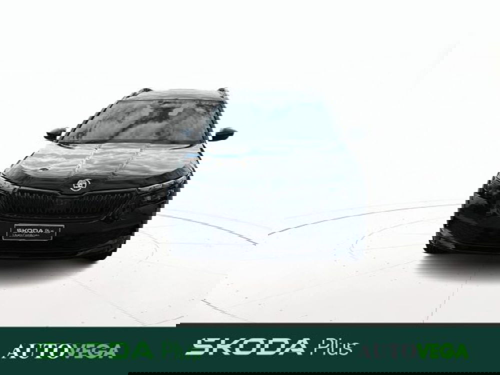 Skoda Kamiq usata a Vicenza (2)