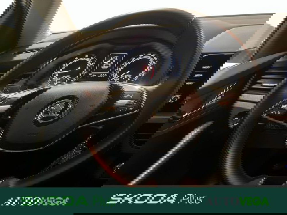 Skoda Kamiq usata a Vicenza (9)