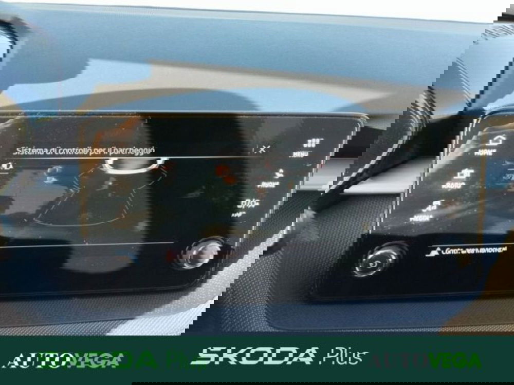 Skoda Fabia usata a Vicenza (17)