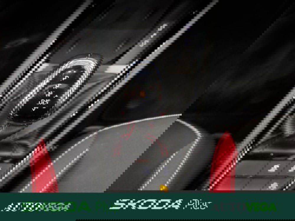 Skoda Kamiq usata a Vicenza (16)