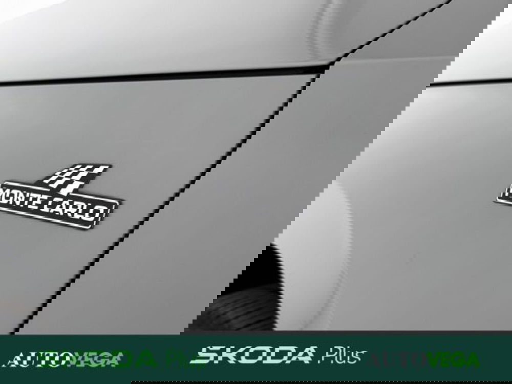 Skoda Kamiq usata a Vicenza (7)