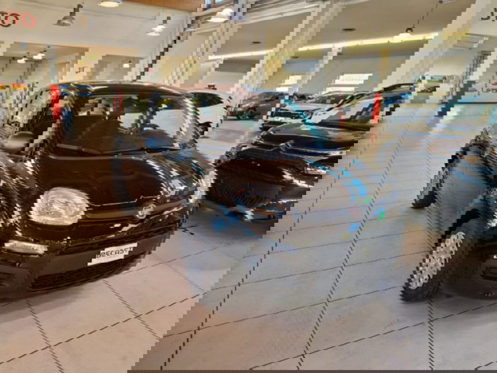 Fiat Panda nuova a Vicenza (3)