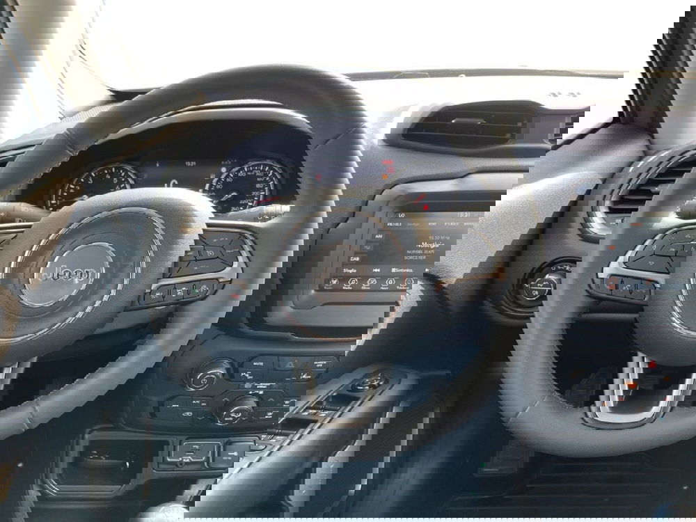 Jeep Renegade usata a Torino (12)